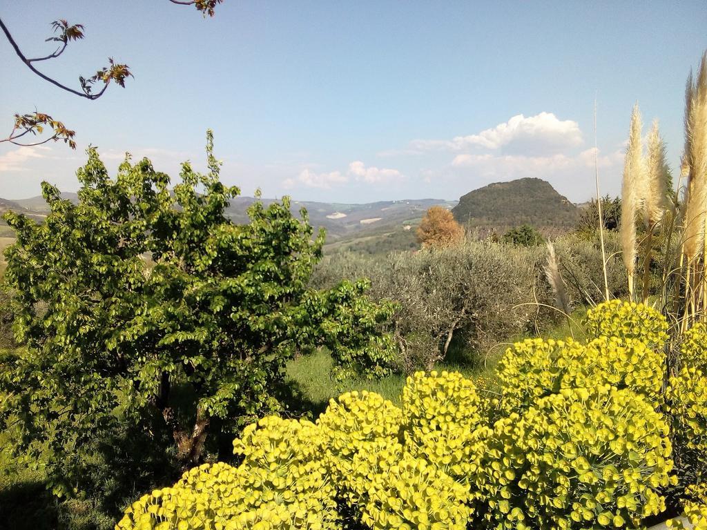 Villa Il Palazzino Volterra Exterior foto